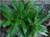 b9fc8ab1-Picture 522.jpg